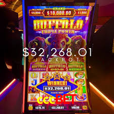 Crash Games Strategies cccbet
